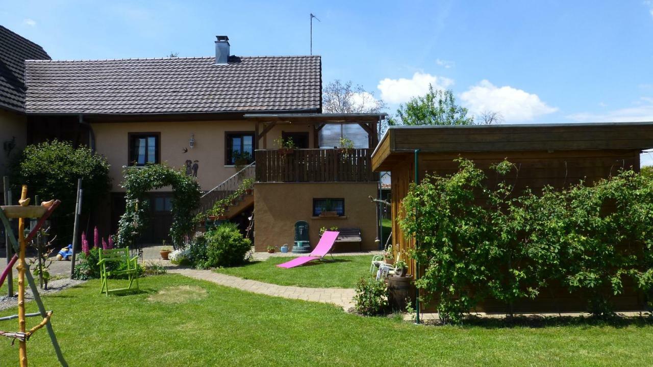 Gite 3 Frontieres Hagenthal-le-Bas Zewnętrze zdjęcie